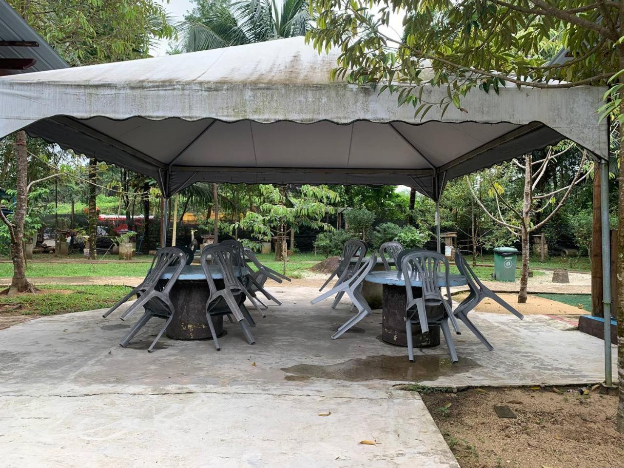 קואלה טרנגאנו Bb Durio Chalet מראה חיצוני תמונה