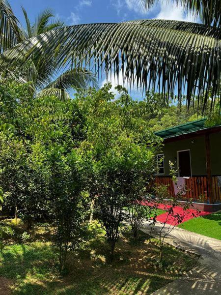 קואלה טרנגאנו Bb Durio Chalet מראה חיצוני תמונה